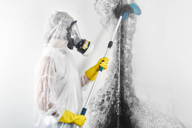 Best Residential Mold Inspection & Testing  in Mvern, AL