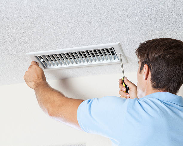 Best Environmental Consulting for Mold Prevention  in Mvern, AL
